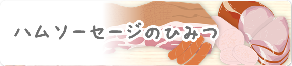 ハム・ソーセージのひみつ