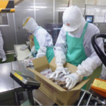 中学校の職場体験を行いました！