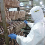 中学校の職場体験を行いました！