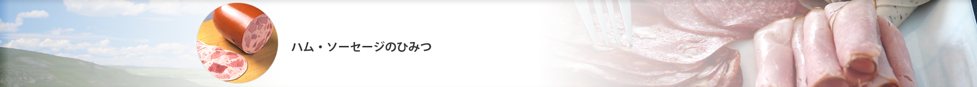 ハム・ソーセージのひみつ
